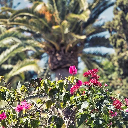 Boutique Islas - Adults Only Hotel Fuengirola