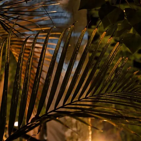 Boutique Islas (adults Only) 3* Фуэнхирола