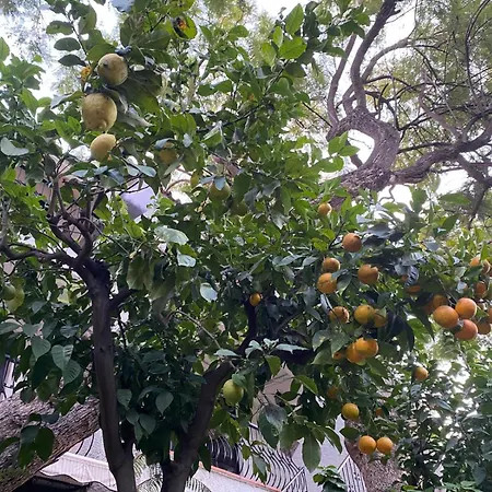 Отель Boutique Islas (adults Only)