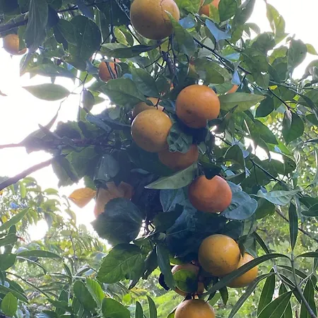 Boutique Islas (adults Only)